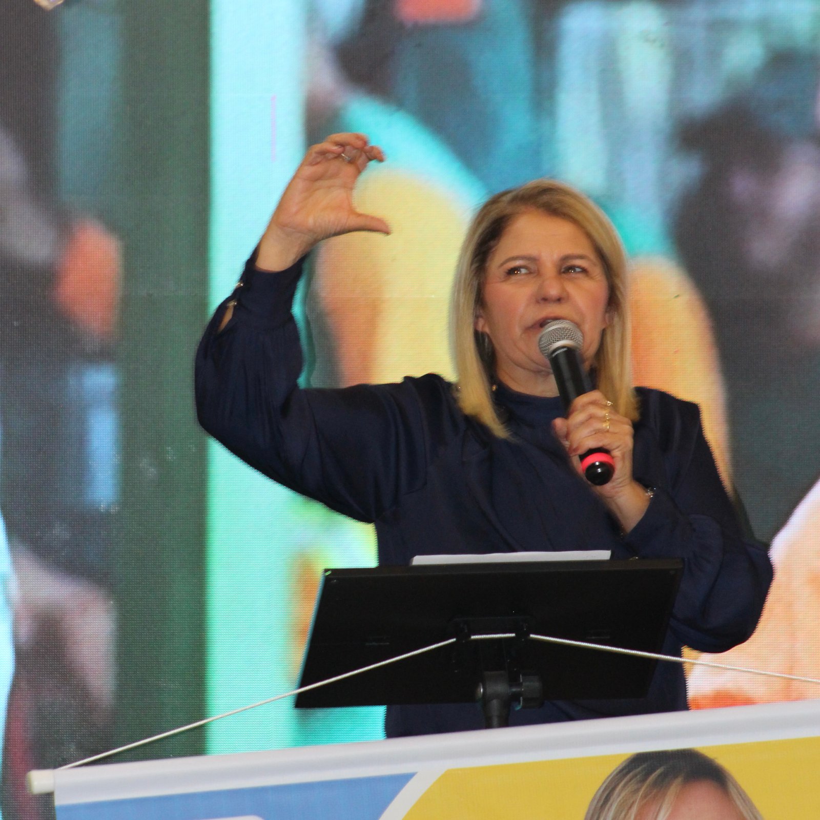 Câmara Legislativa do DF - Rejane Costa deputada distrital